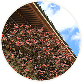 引っ越しによって菩提寺が遠くなってしまったので、 同じ宗派のお寺を探している